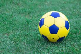 联系我们获取支持